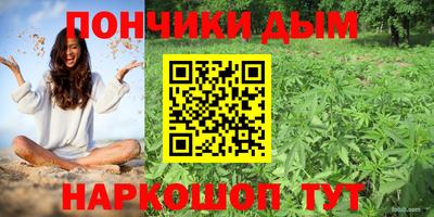 марки lsd Гусиноозёрск