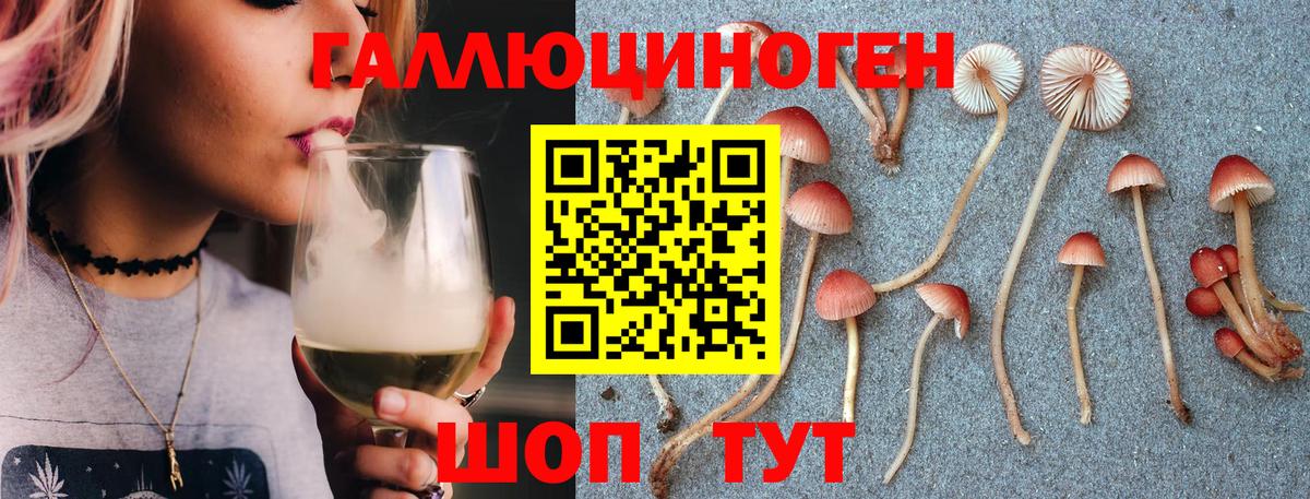 Псилоцибиновые грибы мицелий  Вход с VPN  Можайск 